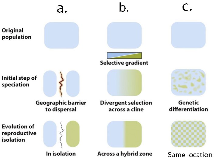 Biological Evolution Exam 3 - Quiz